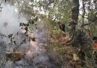 Gunung Bancak Terbakar, Serda Rokim dan Warga Bergerak Cepat Padamkan Api   