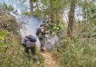 Bersama Tim Gabungan, Babinsa 0804/02 Plaosan Padamkan Kebakaran Hutan Lawu di Desa Sidomulyo